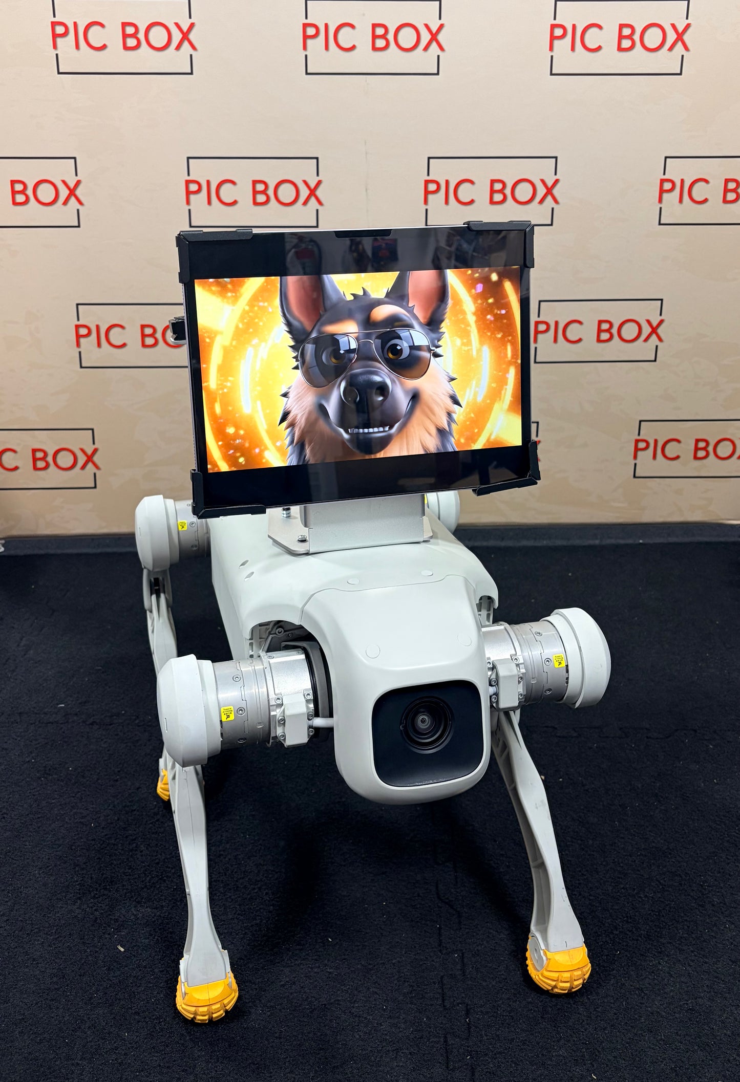 Rover Robot Photo Booth Dog | Interactive Event Robot Dog