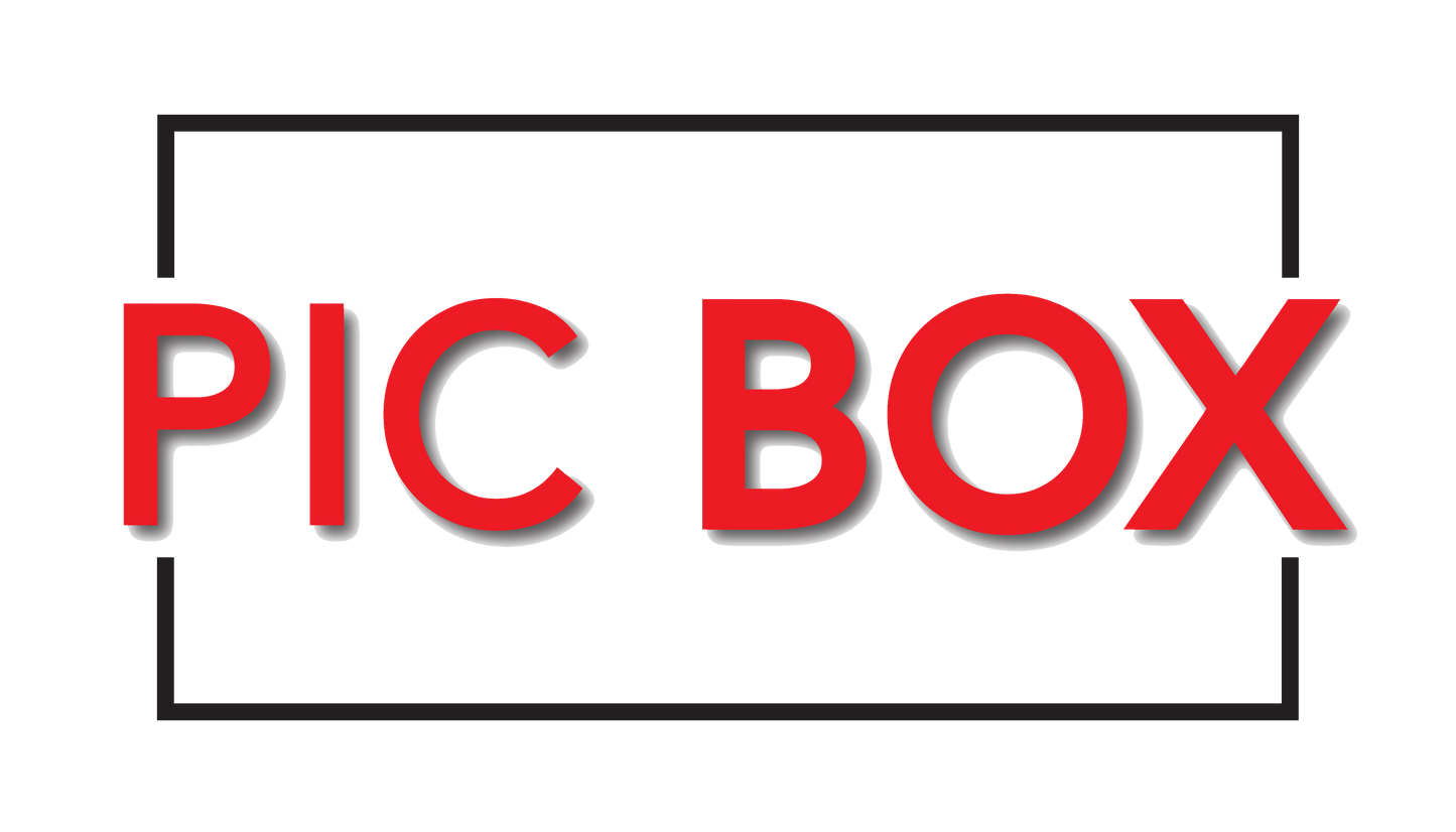 RGB Strip Lights in Ring Light - PicBox Company