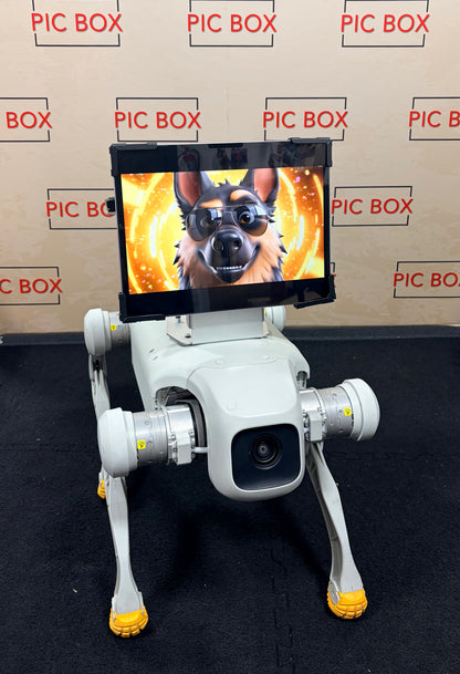 Rover Robot Photo Booth Dog | Interactive Event Robot Dog